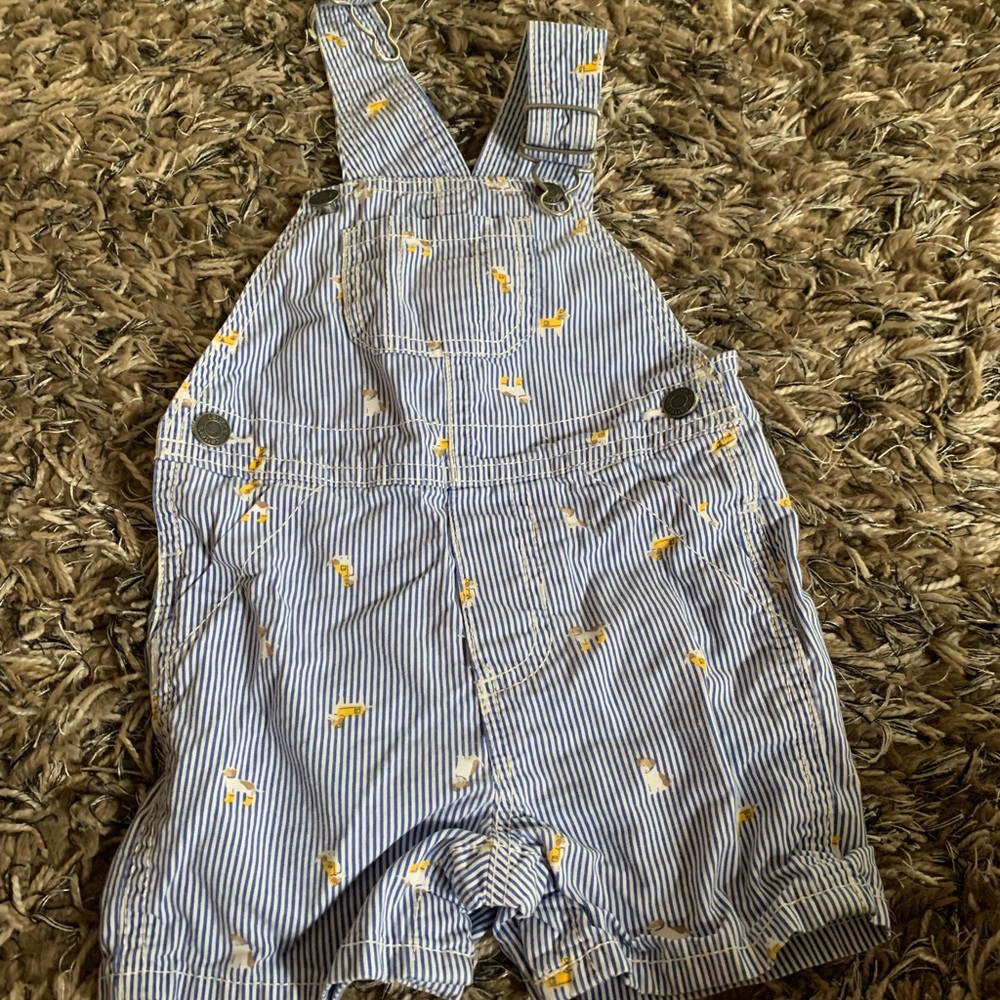 Dog and striped overalls